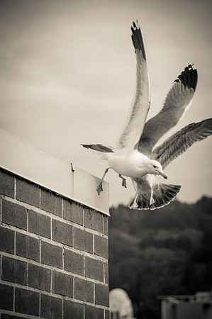edited-4573-2