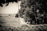 edited-7681-2
