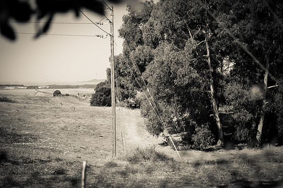 edited-7681-2